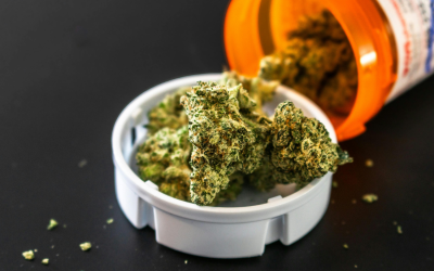 Exploring Medical Cannabis as a Mental Health Option in Kentucky